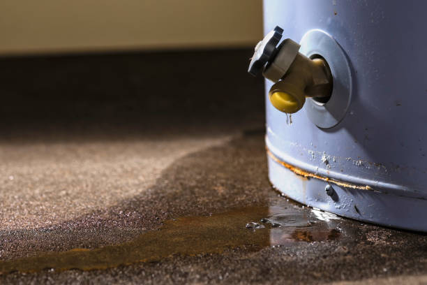 Best Flood damage cleanup  in Healdsburg, CA