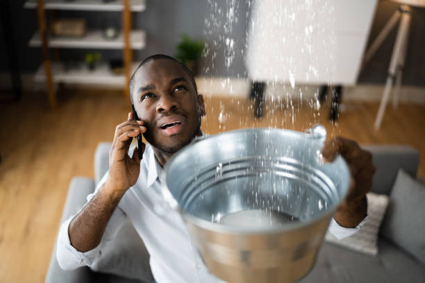 Best Basement water damage restoration  in Healdsburg, CA