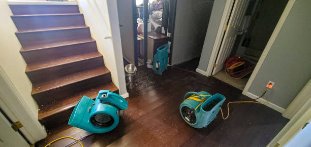 Best Water damage contractors near me  in Healdsburg, CA