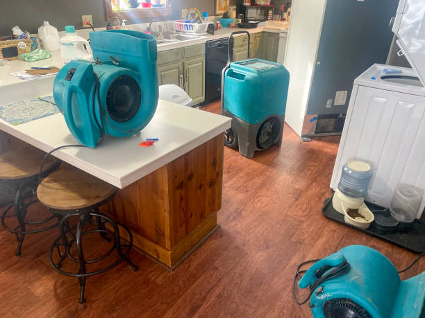 Best Fire Damage Restoration  in Healdsburg, CA