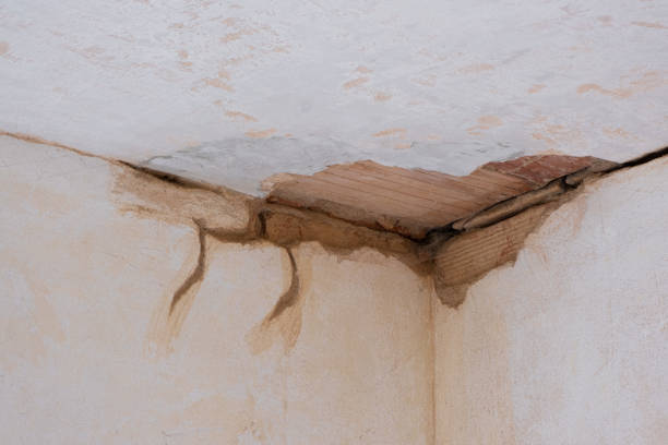 Best Water damage restoration near me  in Healdsburg, CA