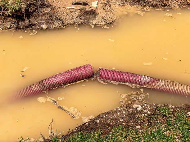Best Water damage restoration near me  in Healdsburg, CA