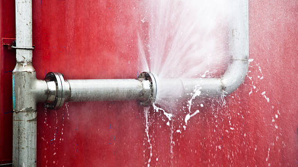 Best Professional water damage repair  in Healdsburg, CA